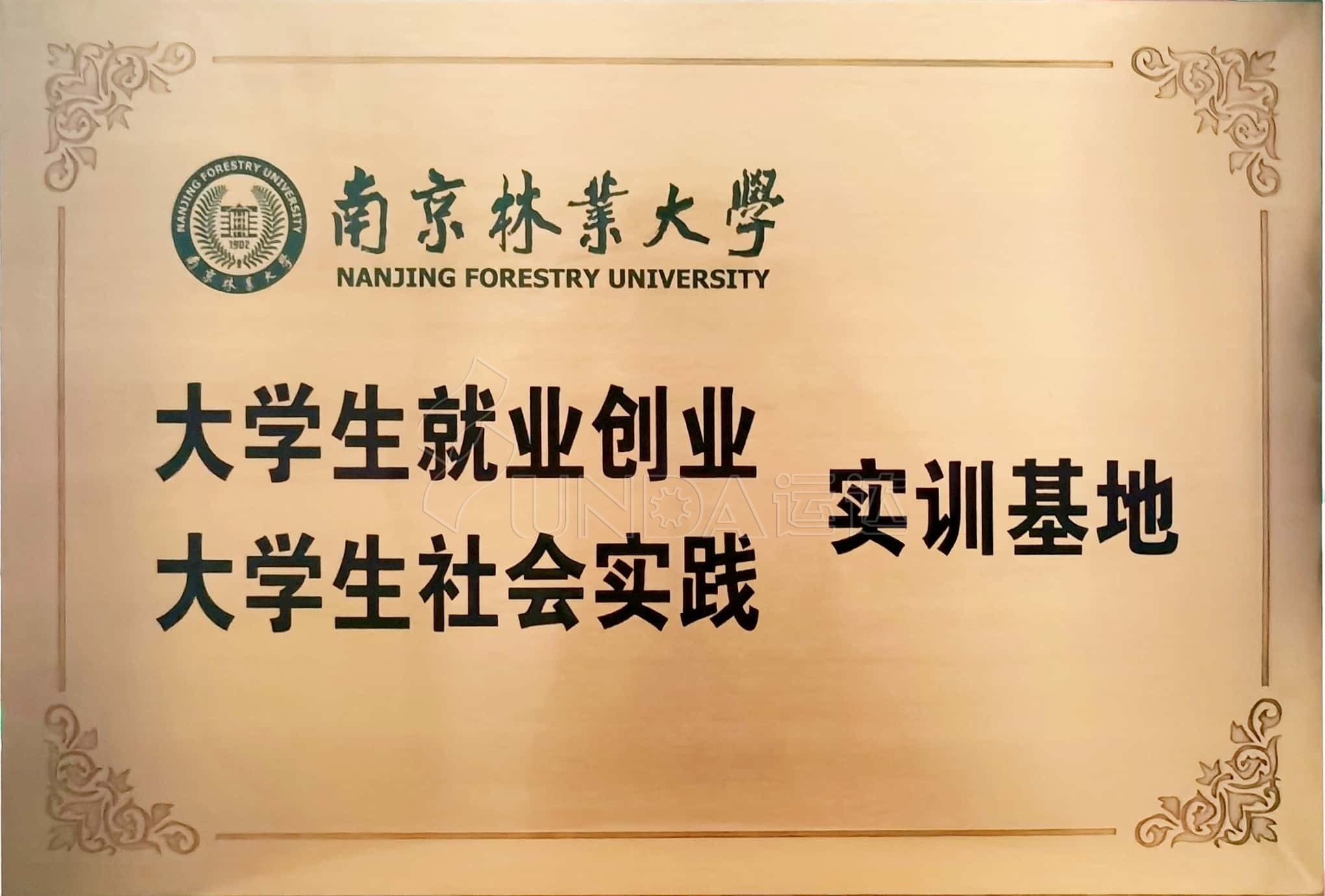 南京林业大学-大学生就业创业社会实践-实训基地